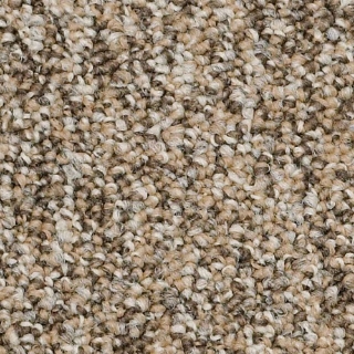 Picture of Philadelphia Commercial by Shaw - SP405 Boundaries