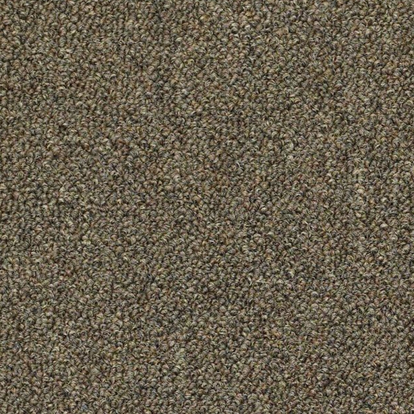 Picture of Philadelphia Commercial by Shaw - SP714 Spitting Image