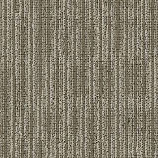 Picture of Philadelphia Commercial by Shaw - SP734 Brilliant