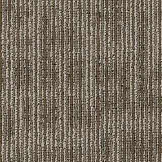 Picture of Philadelphia Commercial by Shaw - SP734 Scolarly