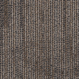 Picture of Philadelphia Commercial by Shaw - SP738 Construct