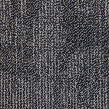 Picture of Philadelphia Commercial by Shaw - SP738 Sculpt