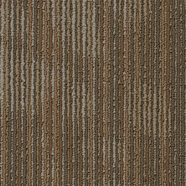 Picture of Philadelphia Commercial by Shaw - SP746 Raw