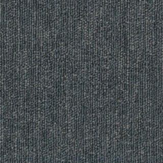 Picture of Philadelphia Commercial by Shaw - SP779 Array