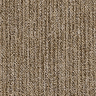 Picture of Philadelphia Commercial by Shaw - SP779 Bundle