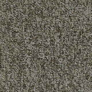 Picture of Philadelphia Commercial by Shaw - SP983 Cluster