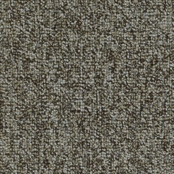 Picture of Philadelphia Commercial by Shaw - SP983 Cluster