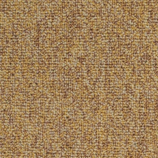 Picture of Philadelphia Commercial by Shaw - SP983 Expansive