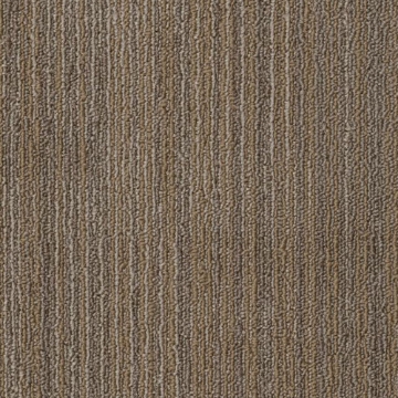 Picture of Philadelphia Commercial by Shaw - SPJ09 18 x 36 Rework