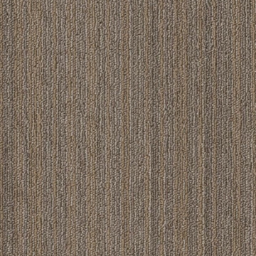 Picture of Philadelphia Commercial by Shaw - SPJ10 18 x 36 Rework