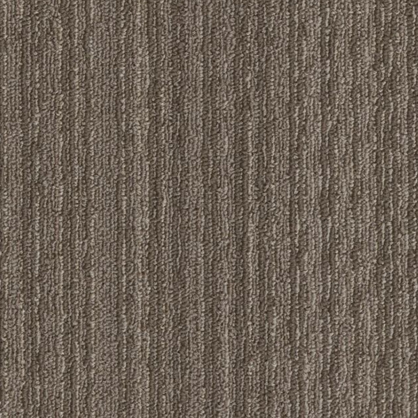 Picture of Philadelphia Commercial by Shaw - SPJ10 18 x 36 Recreate