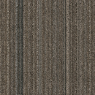 Picture of Pentz - Linea Straight Forward