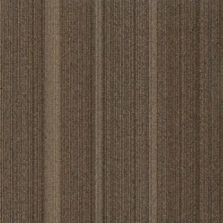 Picture of Pentz - Linea Groove