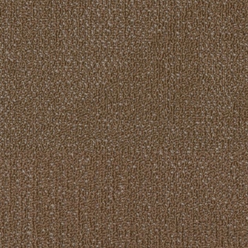 Picture of Philadelphia Commercial by Shaw - SPJ08 Evolve