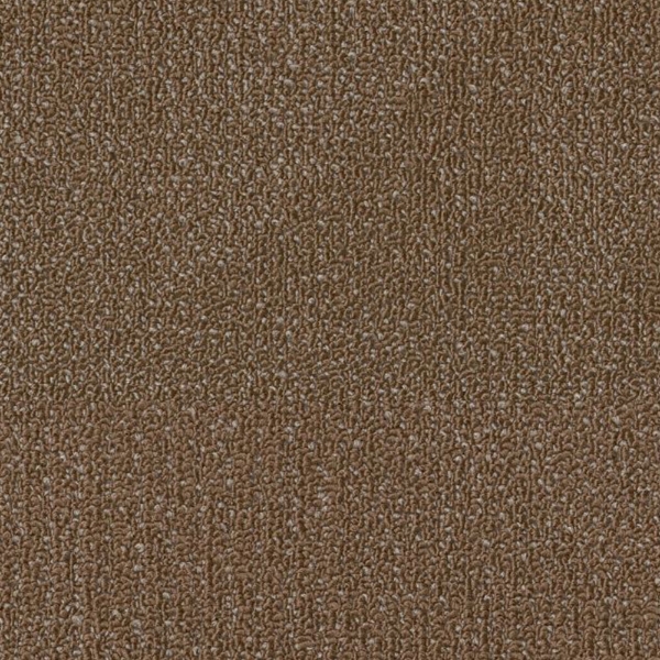 Picture of Philadelphia Commercial by Shaw - SPJ08 Evolve