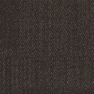 Picture of Philadelphia Commercial by Shaw - SPJ08 Alter