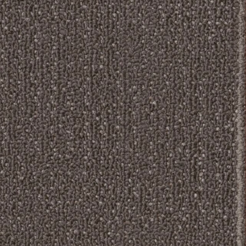 Picture of Philadelphia Commercial by Shaw - SPJ07 Mature