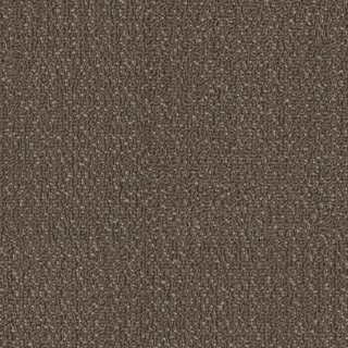 Picture of Philadelphia Commercial by Shaw - SPJ06 Shift