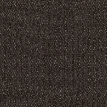 Picture of Philadelphia Commercial by Shaw - SPJ06 Alter