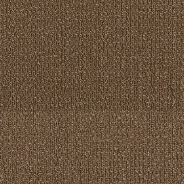 Picture of Philadelphia Commercial by Shaw - SPJ06 Evolve