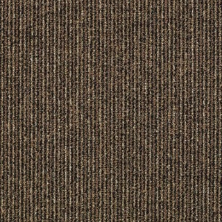 Picture of Philadelphia Commercial by Shaw - SP972 Early Bird