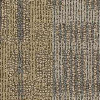 Picture of Philadelphia Commercial by Shaw - SP251 Fuse