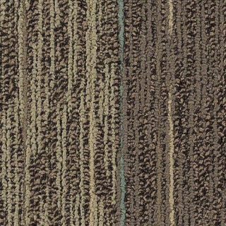 Picture of Philadelphia Commercial by Shaw - SP252 Mingle