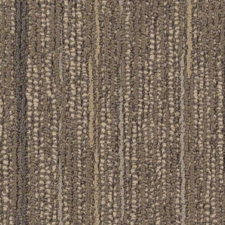 Picture of Philadelphia Commercial by Shaw - SP252 Fuse