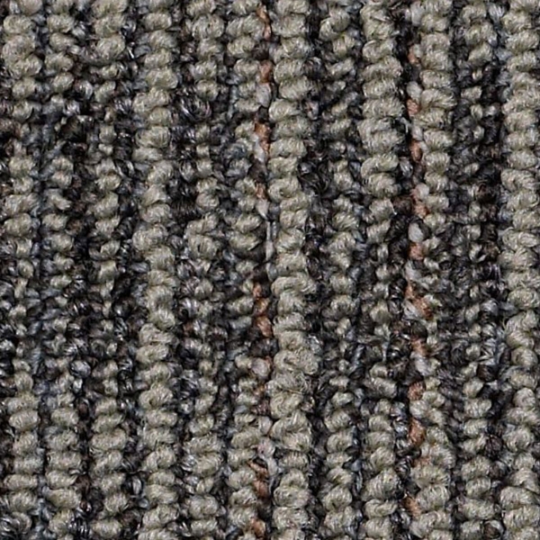 Picture of Philadelphia Commercial by Shaw - SP403 Graphite