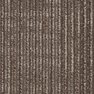 Picture of Philadelphia Commercial by Shaw - SP560 Patina