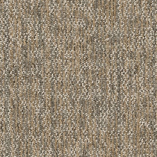 Picture of Philadelphia Commercial by Shaw - SP721 18 x 36 Astute