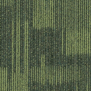 Picture of Philadelphia Commercial by Shaw - SP722 18 x 36 Witty