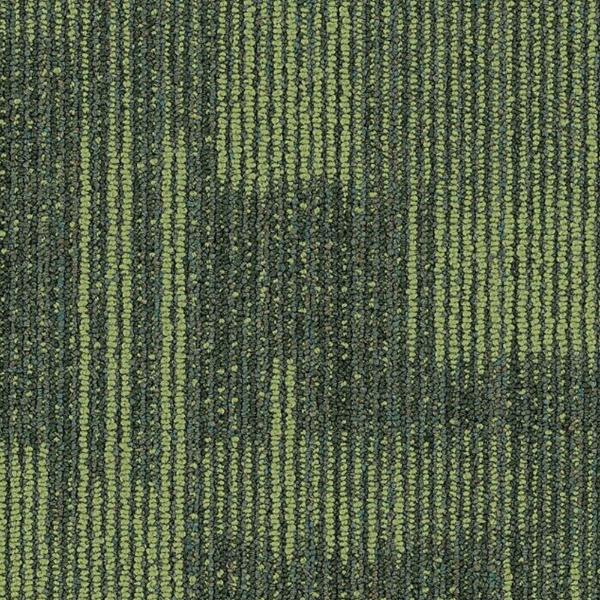 Picture of Philadelphia Commercial by Shaw - SP722 18 x 36 Witty