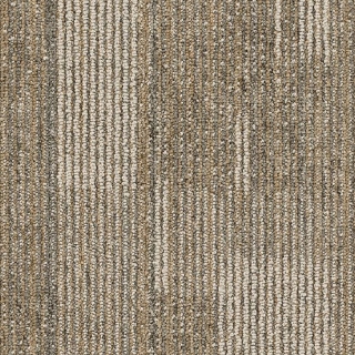 Picture of Philadelphia Commercial by Shaw - SP722 18 x 36 Astute