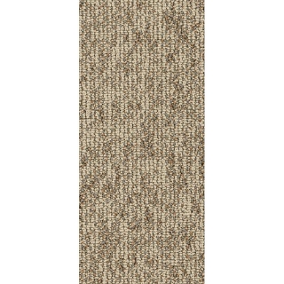 Picture of Philadelphia Commercial by Shaw - SP726 9 x 36 Dunes