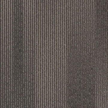 Picture of Philadelphia Commercial by Shaw - SP785 18 x 36 Starry