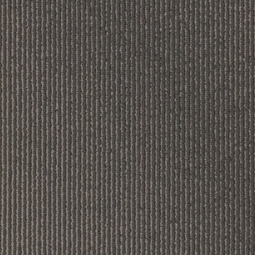 Picture of Philadelphia Commercial by Shaw - SP786 18 x 36 Starry