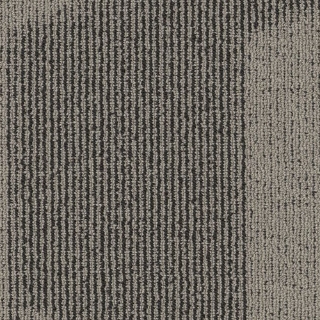 Picture of Philadelphia Commercial by Shaw - SP787 18 x 36 Trendy