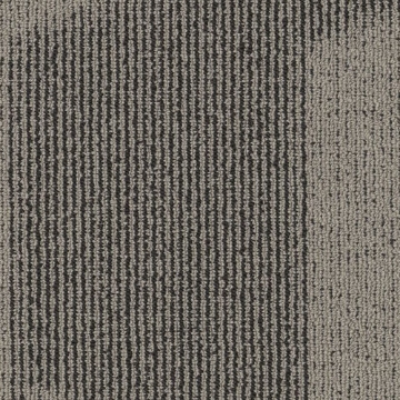 Picture of Philadelphia Commercial by Shaw - SP787 18 x 36 Trendy