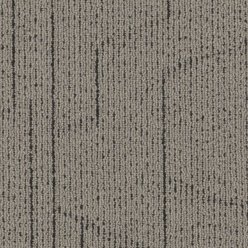 Picture of Philadelphia Commercial by Shaw - SP788 18 x 36 Trendy