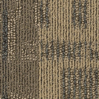 Picture of Philadelphia Commercial by Shaw - SP800 Reality TV