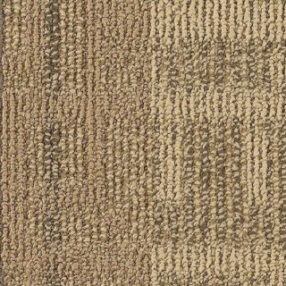 Picture of Philadelphia Commercial by Shaw - SP800 Quick Comment