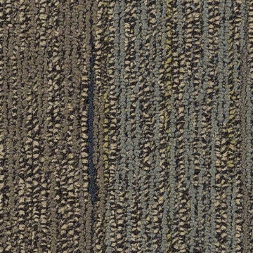 Picture of Philadelphia Commercial by Shaw - SP801 Talk Show