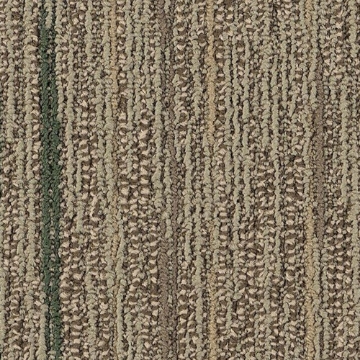 Picture of Philadelphia Commercial by Shaw - SP801 Reality TV