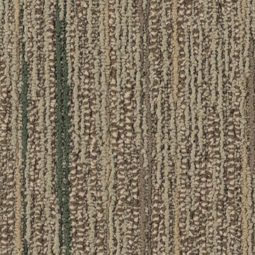 Picture of Philadelphia Commercial by Shaw - SP803 Combine