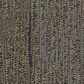 Picture of Philadelphia Commercial by Shaw - SP803 Blend