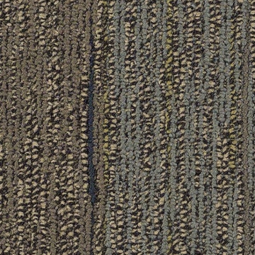 Picture of Philadelphia Commercial by Shaw - SP803 Blend