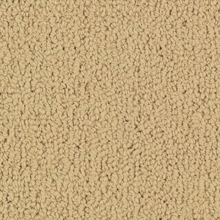 Picture of Philadelphia Commercial by Shaw - SP918 Flax