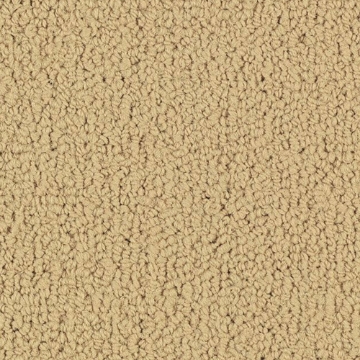 Picture of Philadelphia Commercial by Shaw - SP918 Flax