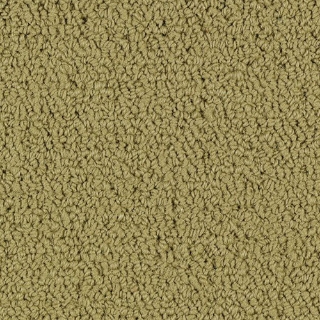 Picture of Philadelphia Commercial by Shaw - SP918 Herbal